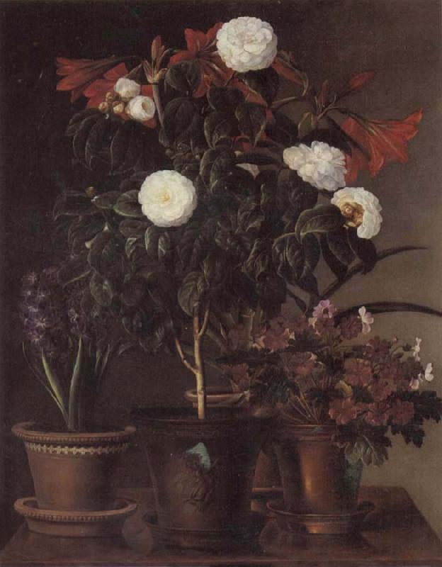 Jensen Johan Gardenia and Amaryllis oil painting image